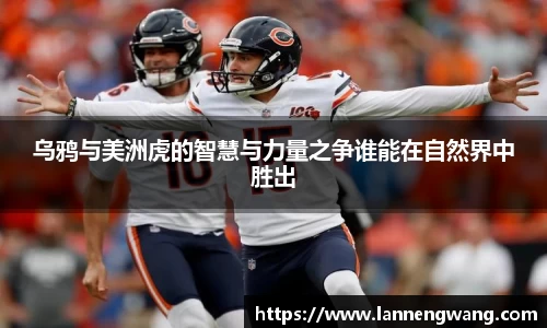乌鸦与美洲虎的智慧与力量之争谁能在自然界中胜出
