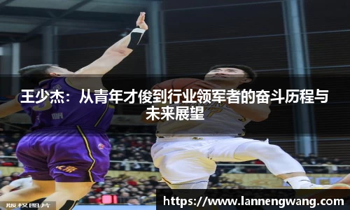 王少杰：从青年才俊到行业领军者的奋斗历程与未来展望